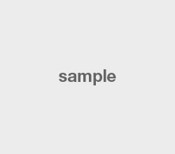 Sample Blog Post
